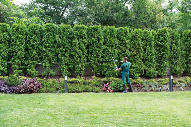 Best Lawn Watering Services  in Cascade, ID